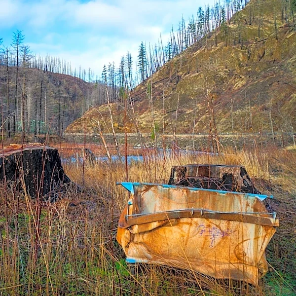 Oregon Wildfires Burn Over 2 Million Acres, Nearing Record