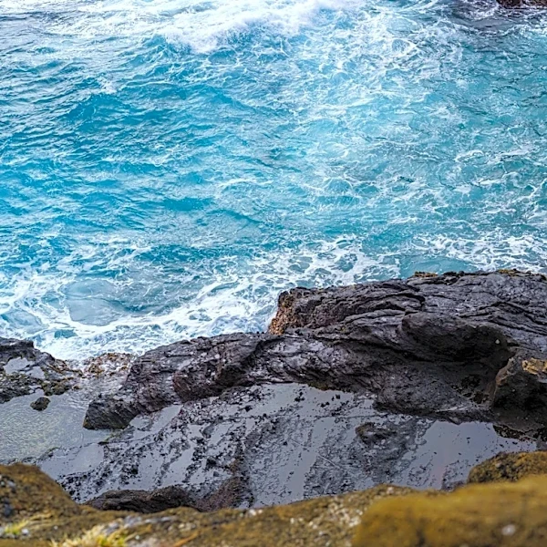 Hawaii Weather: Scattered Showers and South Swell Expected This Week