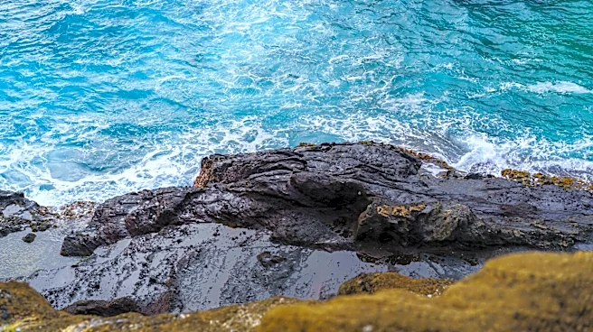 Hawaii Weather: Scattered Showers and South Swell Expected This Week