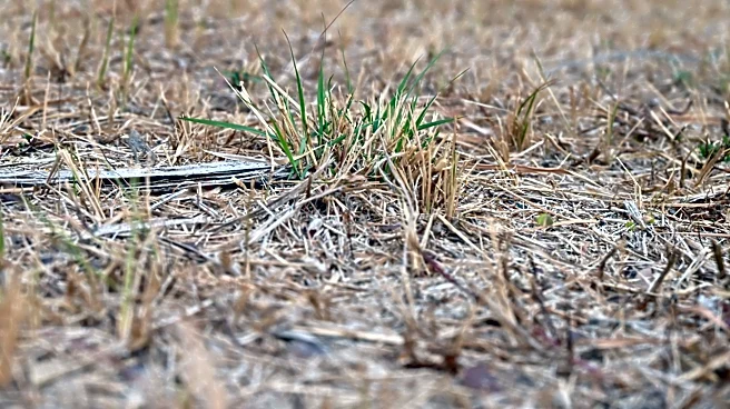 Maine Gardeners Prepare for Productive August Amid Drought Concerns