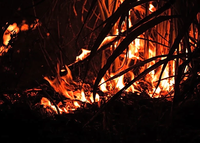 Contained vs Controlled Wildfires: Know the Difference