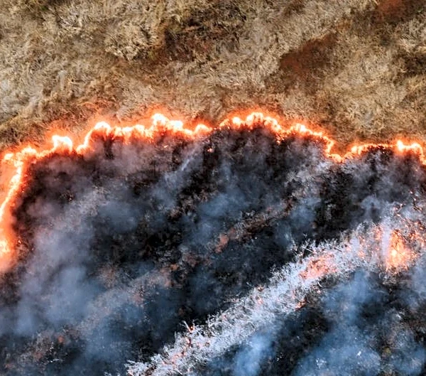 Wildfire Danger Escalates Across the Northwest