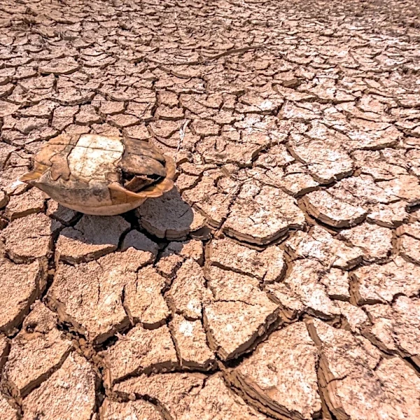 Extreme Heat Persists in Deserts and Mountains Through Wednesday