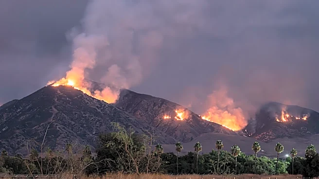 Eaton Fire in Los Angeles Caused by Utility Tower, Report Confirms