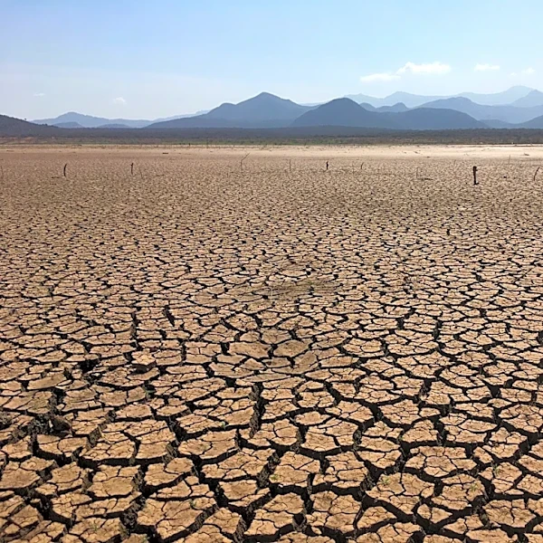 Powerful El Niño Could Push 49 Million Into Acute Hunger, UN Warns