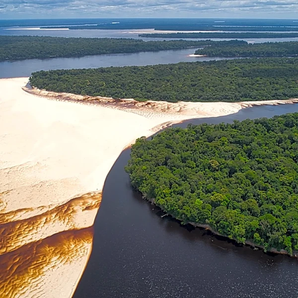 Saharan Dust Transports Nutrients to Amazon Rainforest