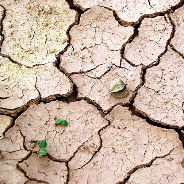 Call for Abstracts: Drought Sessions at 107th AMS Annual Meeting