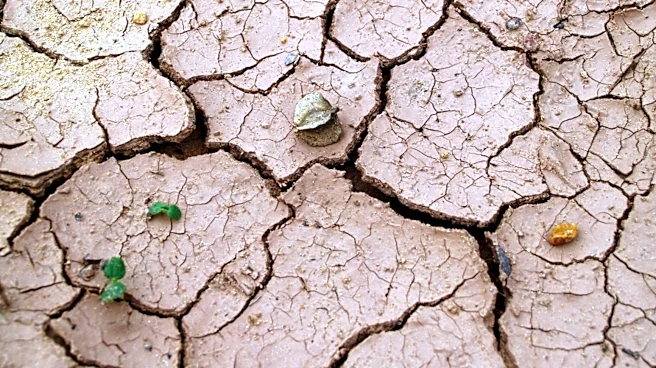 Call for Abstracts: Drought Sessions at 107th AMS Annual Meeting