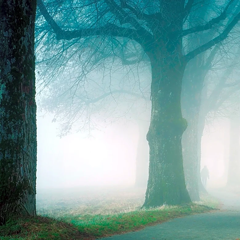 Dense Fog Advisory in Effect for Central, Southern, and Western Iowa
