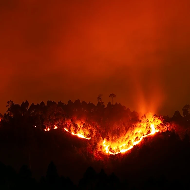 Wildfire Risks Persist Despite Lower Insurance Premiums in Mountain West