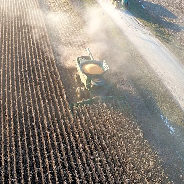 Crop Conditions Show Mixed Results Across Midwest Amid Variable Weather