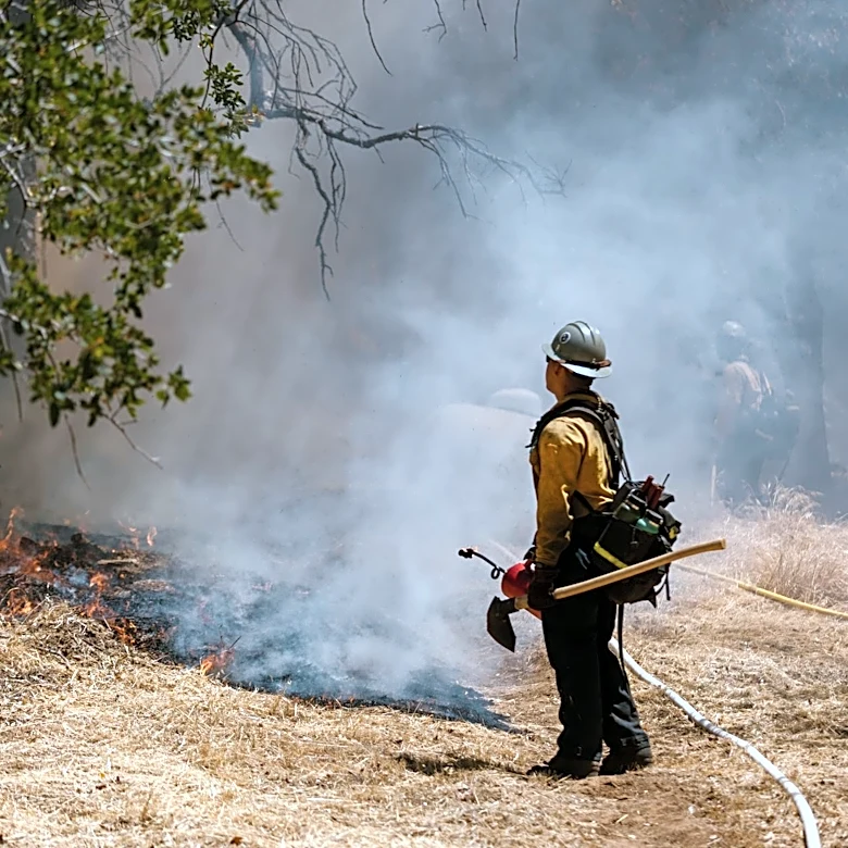 How to Prepare Your Home for Wildfire Risks
