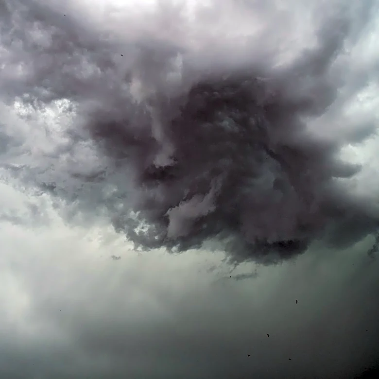 Storm Damage Across Kansas City Metro After Overnight Thunderstorms