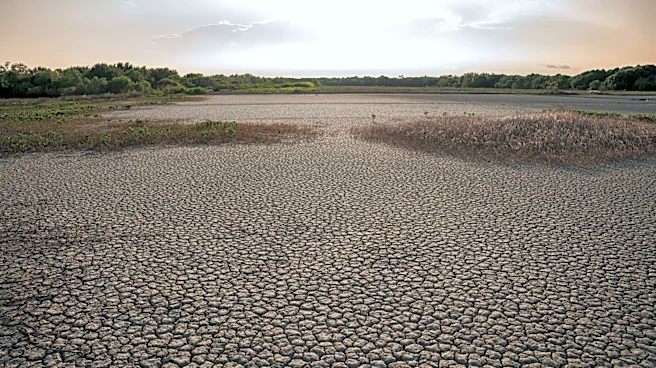 El Niño and Global Warming Could Make 2026 a Record-Breaking Year