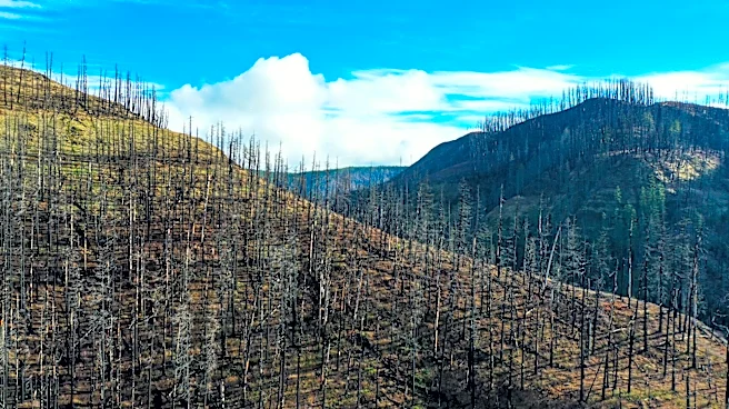 Spokane Wildfires Highlight Growing Climate Risks
