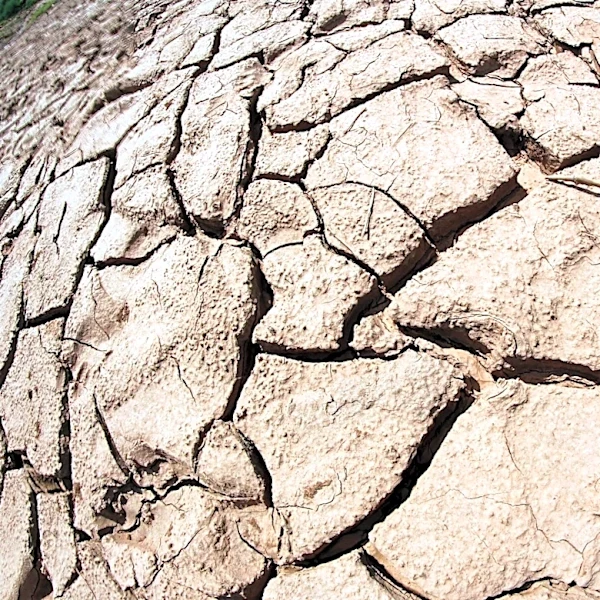 Drought Conditions Worsen Across Oklahoma, Rapid Expansion Reported