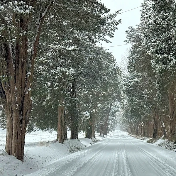 Farmers' Almanac Predicts Active Winter for 2026-2027 in Mid-Atlantic and Northeast