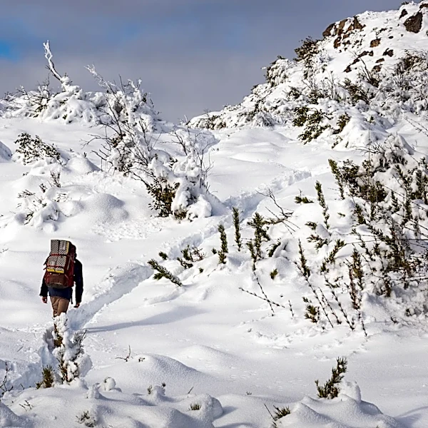 El Niño to Bring Unpredictable Winter Weather Across the U.S.