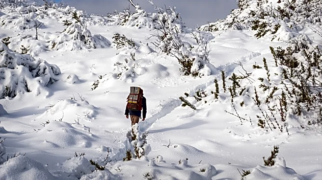 El Niño to Bring Unpredictable Winter Weather Across the U.S.
