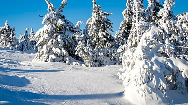Farmers' Almanac Predicts Contrasting Winter Weather Across U.S.