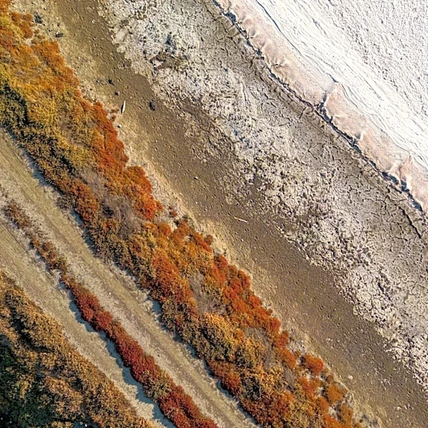 Study Reveals Increased Frequency of Snow Droughts in Western U.S. Due to Climate Change