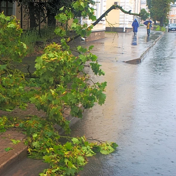 Massive Oak Branch Crashes onto Atlanta Home Amid Heavy Rain