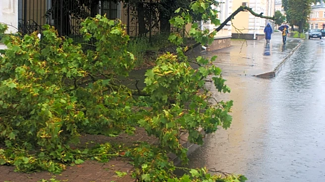 Massive Oak Branch Crashes onto Atlanta Home Amid Heavy Rain
