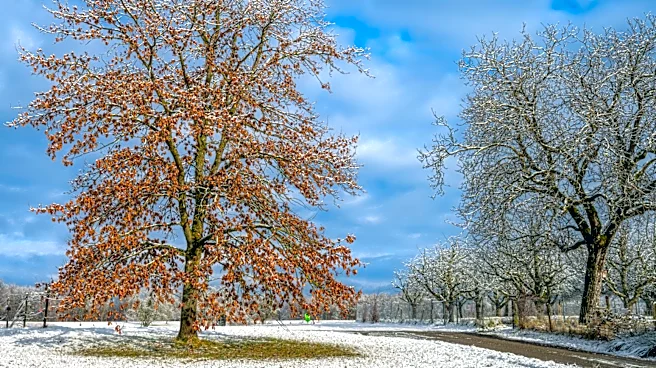 January Weather Summary for Salem, Oregon: Mild Temperatures and Moderate Precipitation