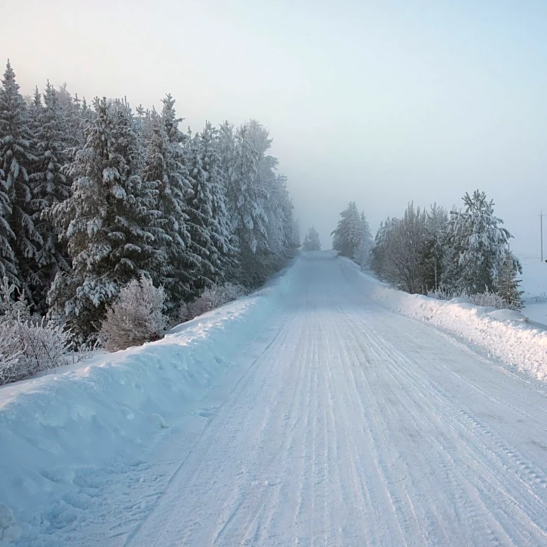 Understanding the Farmers’ Almanac Winter Weather Forecast