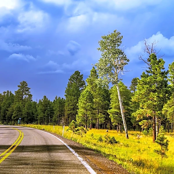 Monsoon Storms Sweep Through Flagstaff, Arizona