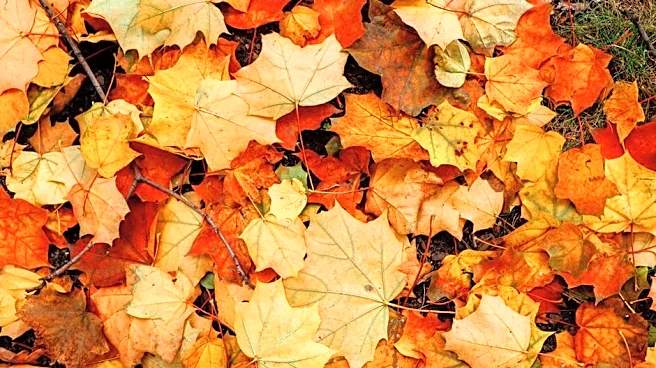 El Niño May Keep Summer Heat Around the US This Fall