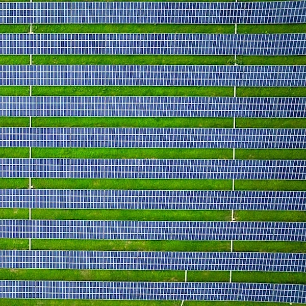 Solar Achieves Record Growth in 2025, Supplying Over 8% of Global Electricity