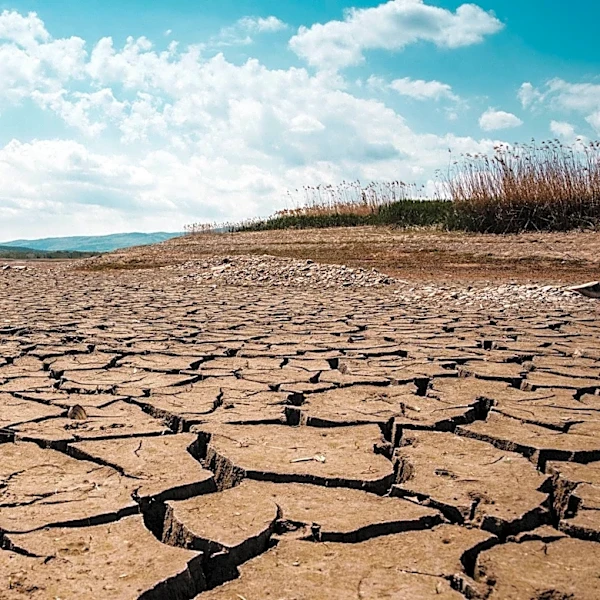 July 2026: Warmest Month on Record in the U.S.