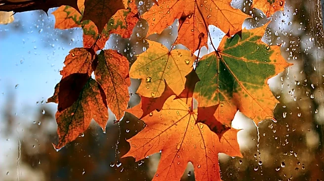 Understanding Fall Weather Patterns: Insights from Seasonal Forecasts