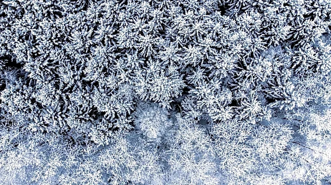 How El Niño Impacts Winter Weather Across the U.S.