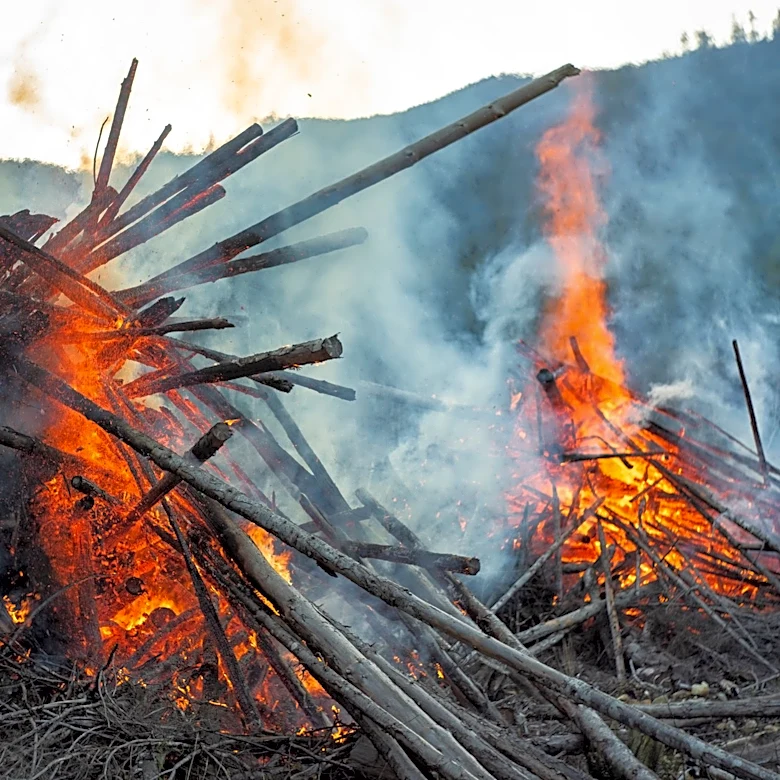 Thousands Evacuated as Wildfires Rage Across Western U.S. and Canada