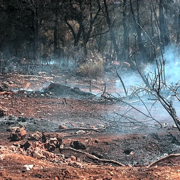 Timber Fire Forces Evacuations and Business Closures in Big Sur