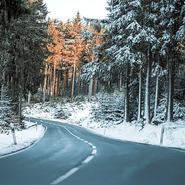 Farmers' Almanac Predicts Stormy Winter for Alabama in 2026-2027
