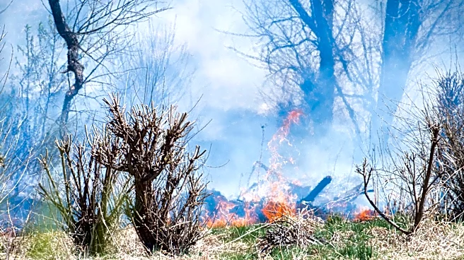 Oregon Wildfires Burn Over 2.3 Million Acres Amid Containment Efforts