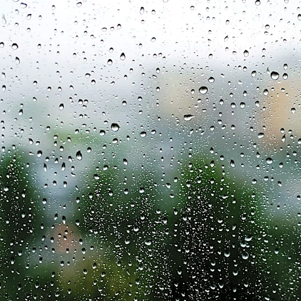 Heat Advisories Issued for Tuesday; Cooler Weather and Storms Expected Later This Week