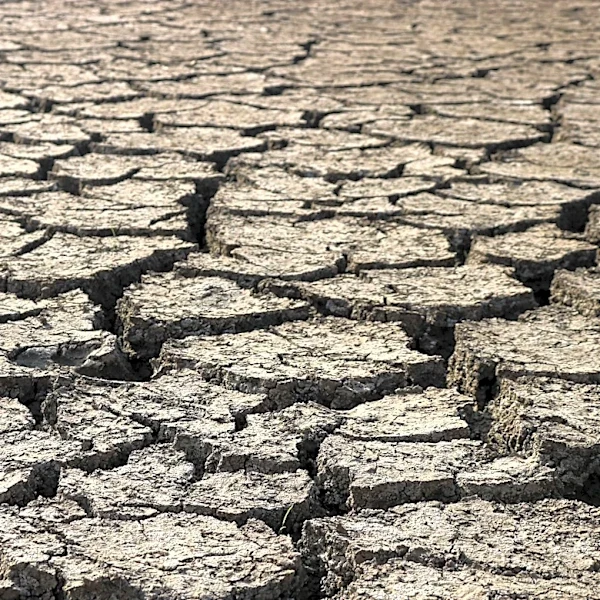 Heat Advisory Issued for Cheatham County Amid Tragic Incident