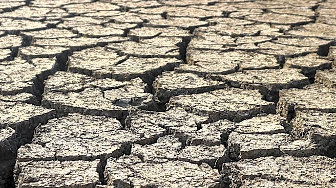 Heat Advisory Issued for Cheatham County Amid Tragic Incident