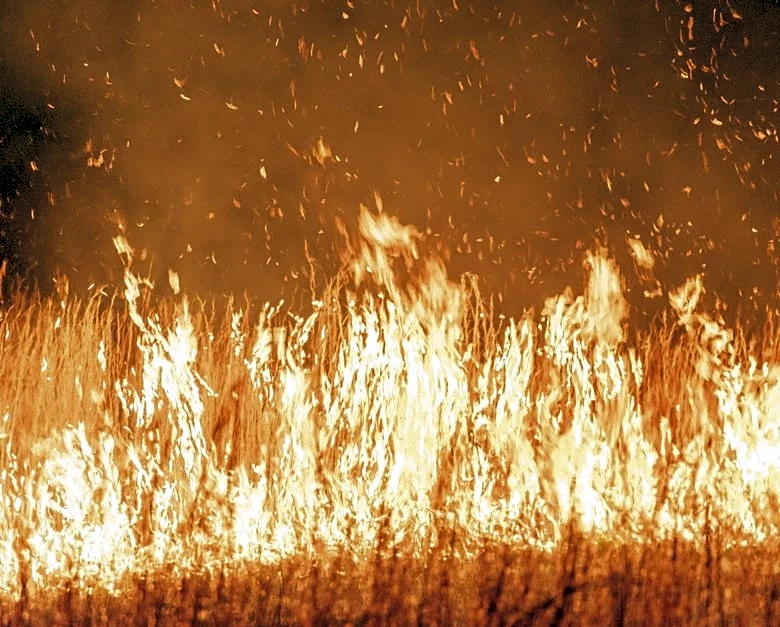 Evacuations Ordered as Wildfires Explode in West
