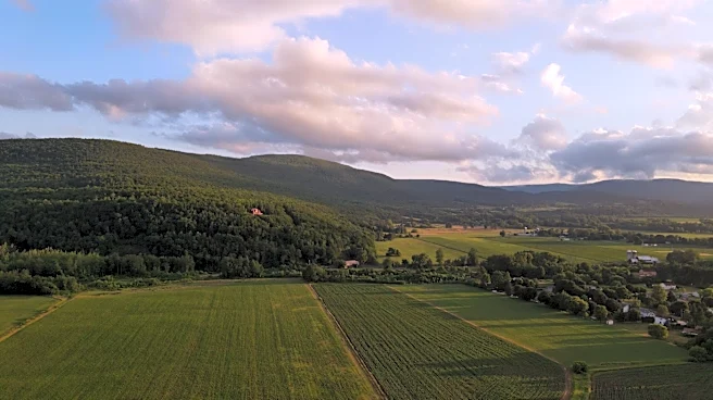 USDA Approves Frost Relief Aid for New York Farmers