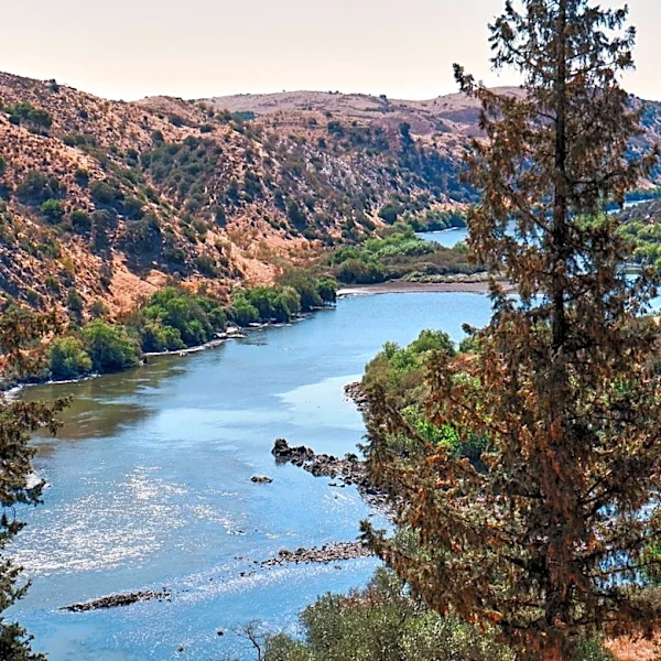 Russian River Valley Sees Strong Summer Despite Economic Concerns