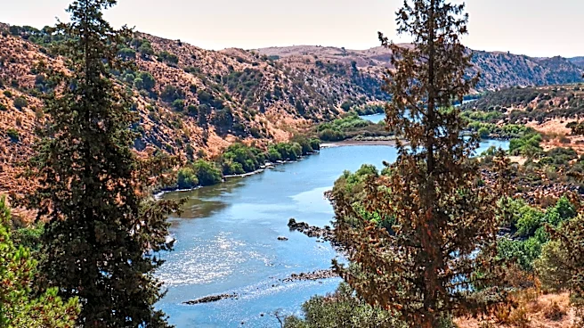 Russian River Valley Sees Strong Summer Despite Economic Concerns
