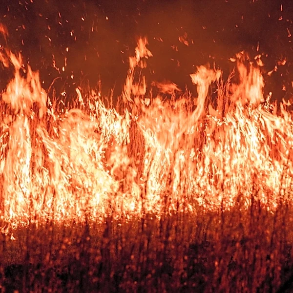 Oklahoma City Fire Department Offers Tips to Reduce Wildfire Risks