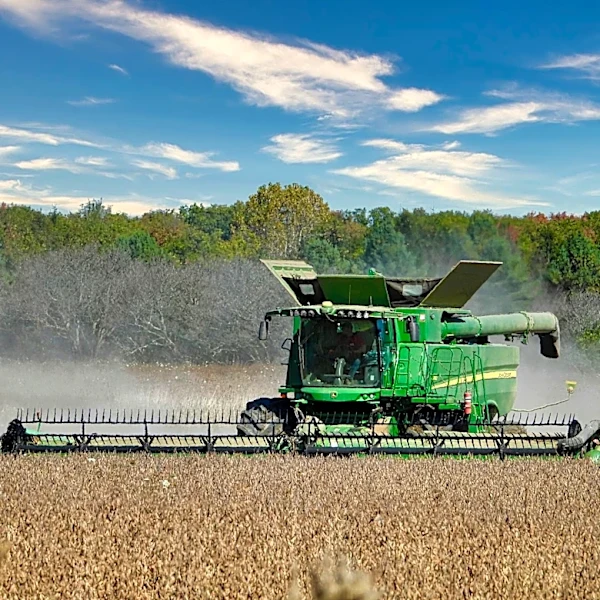 North Dakota Faces Severe Drought Amid Challenging Growing Season