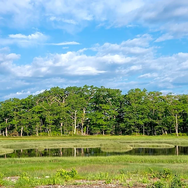 Kittery, Maine, Enforces Water Restrictions Amid Moderate Drought