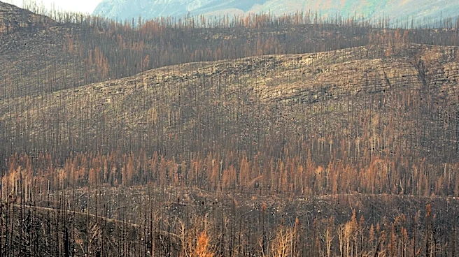 Spokane Wildfire Recovery Efforts Underway as Evacuation Orders Lifted